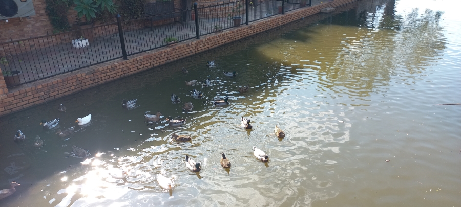 3 Bedroom Property for Sale in Safari Gardens North West